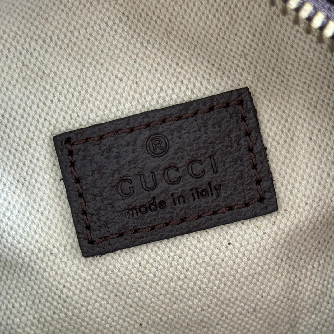 GG AW 25 Ophidia Mini Bag 18.5 Dark Brown Suede