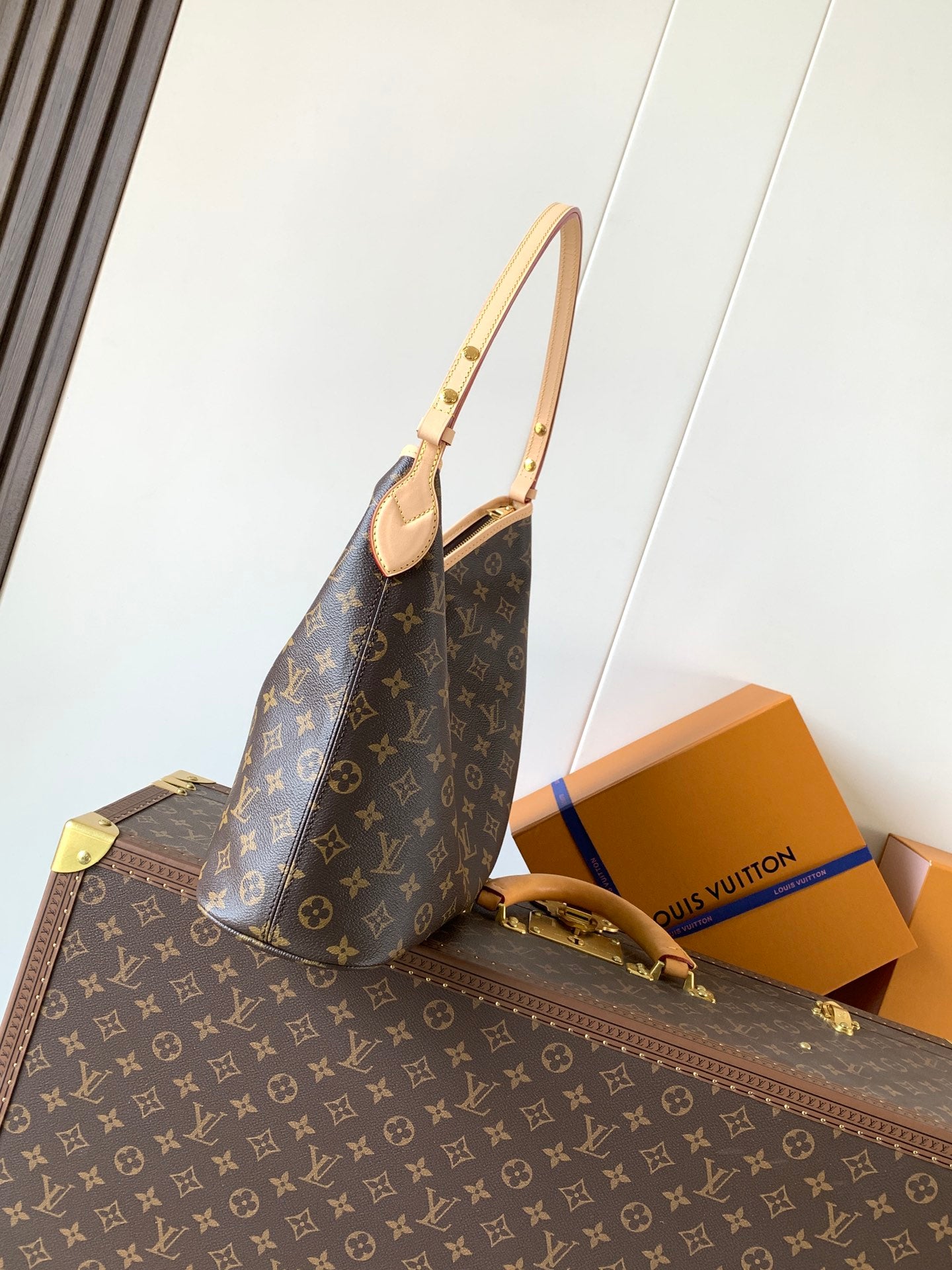 LV Lineup Brown Beige Monogram Canvas