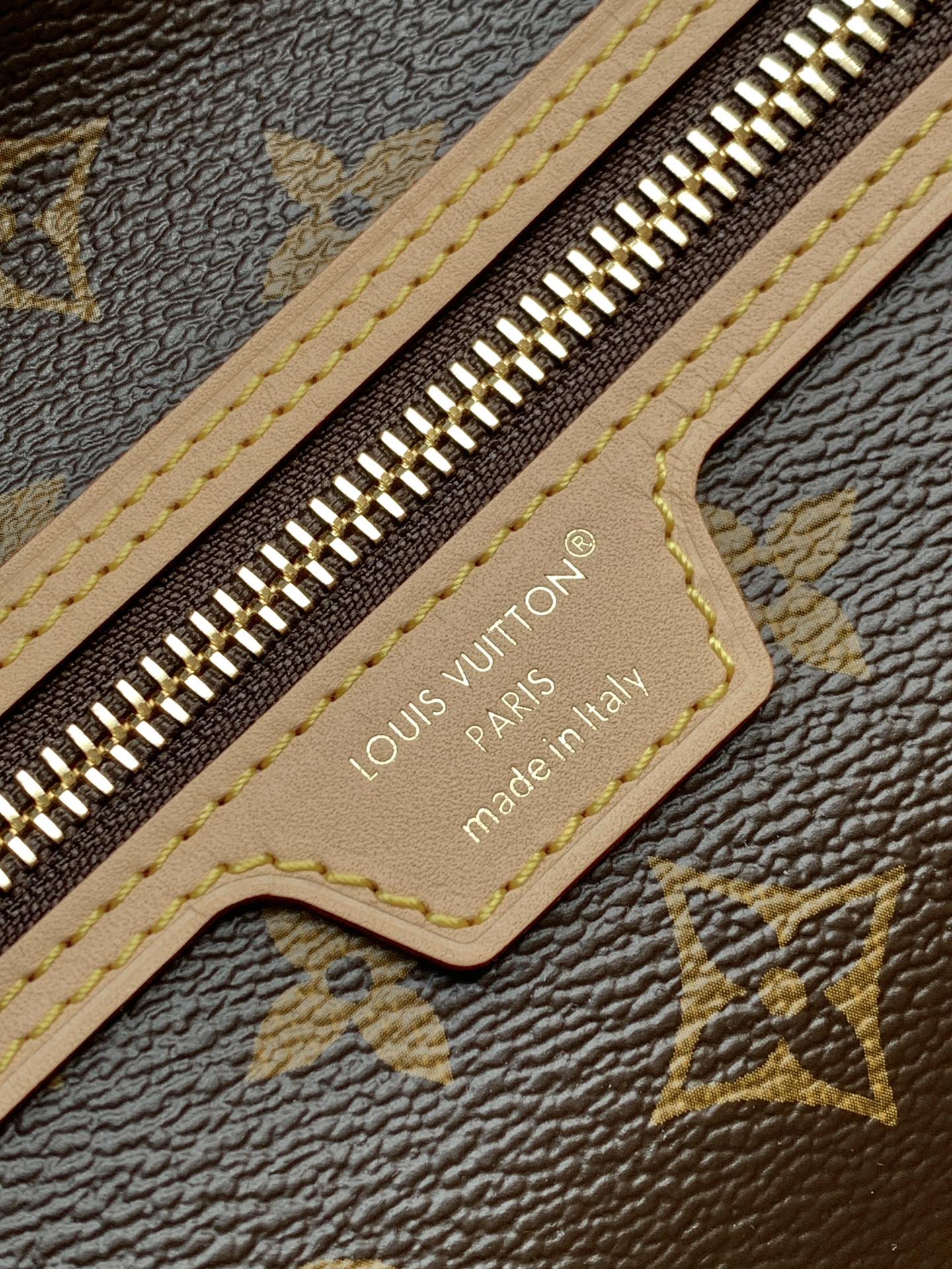 LV Lineup Brown Beige Monogram Canvas