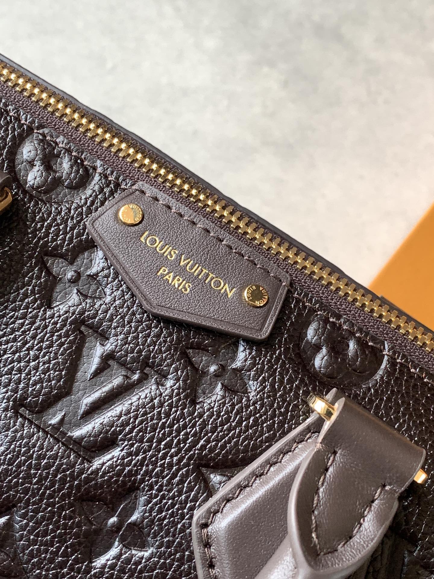 LV Speedy Trunk 25 Dark Brown Monogram Saga Pattern Leather