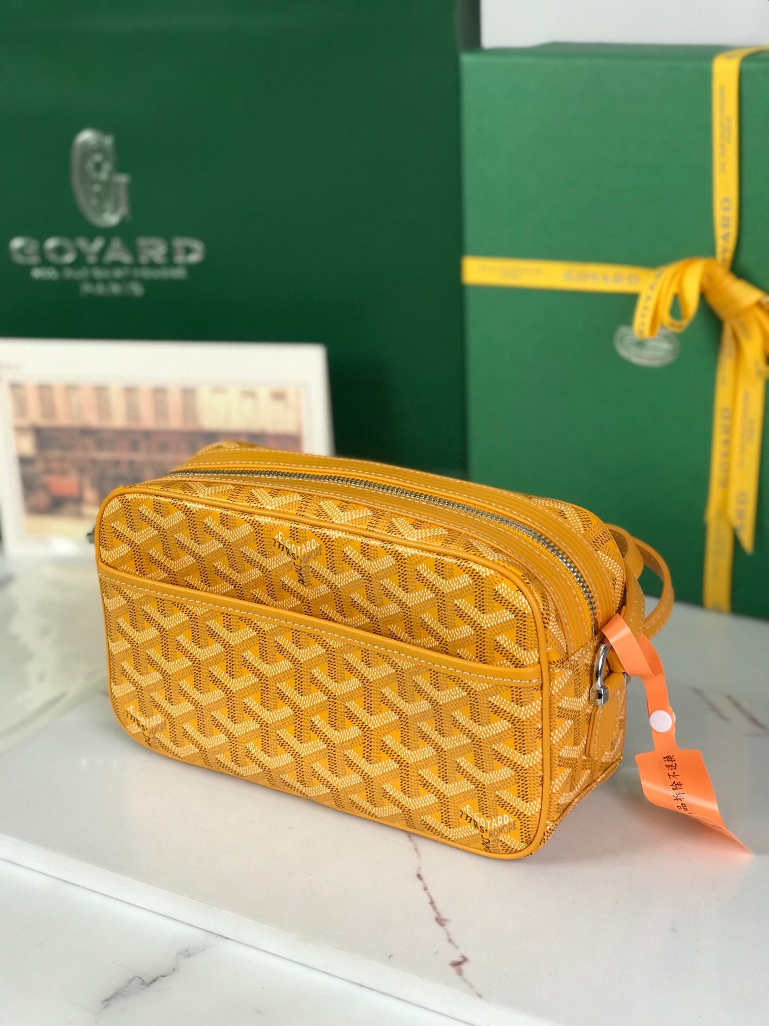 Goyard Cap-Vert Camera Bag Yellow Calfskin Canvas 290860