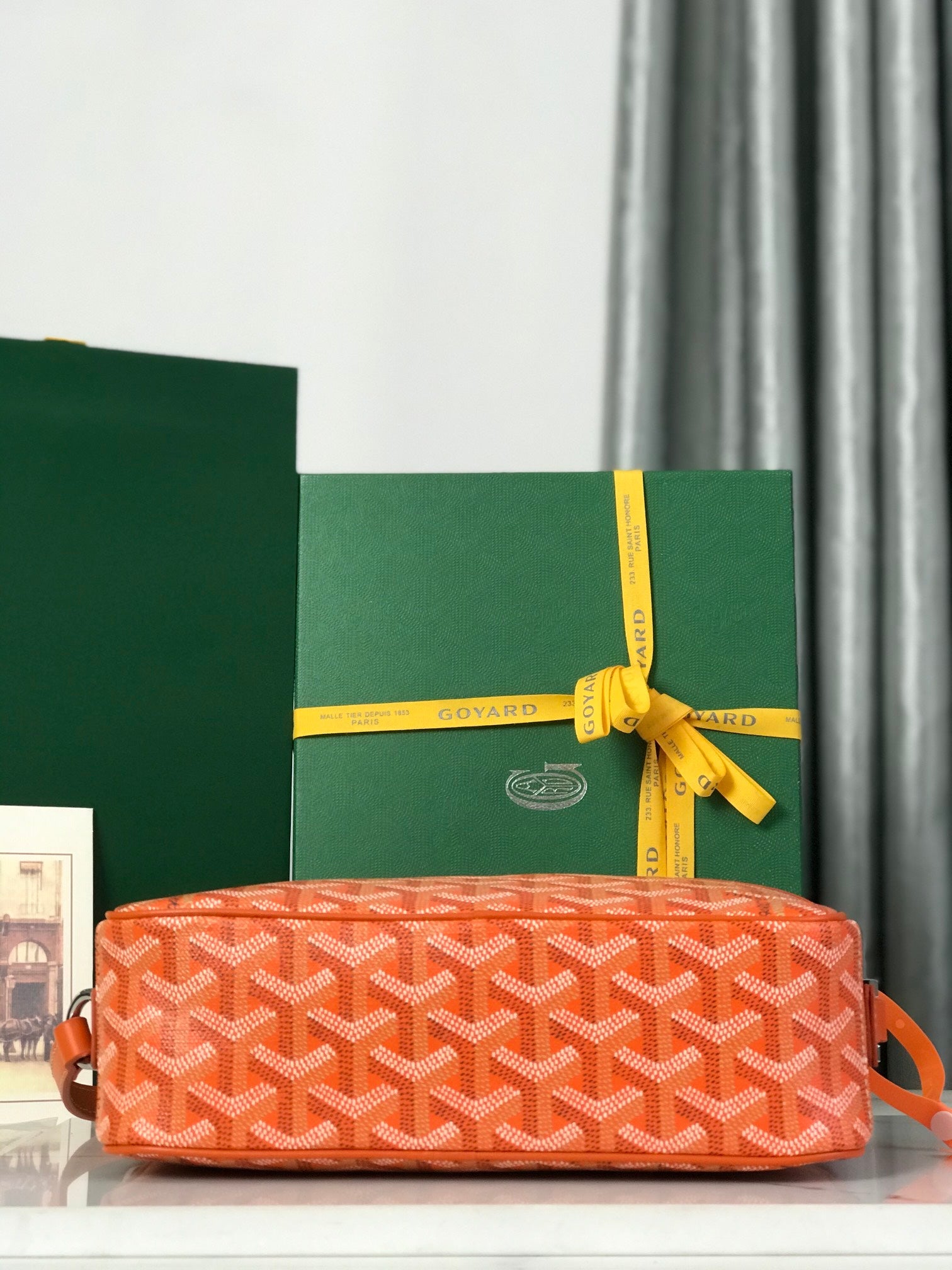 Goyard Cap-Vert Camera Bag Orange Calfskin Canvas 290859