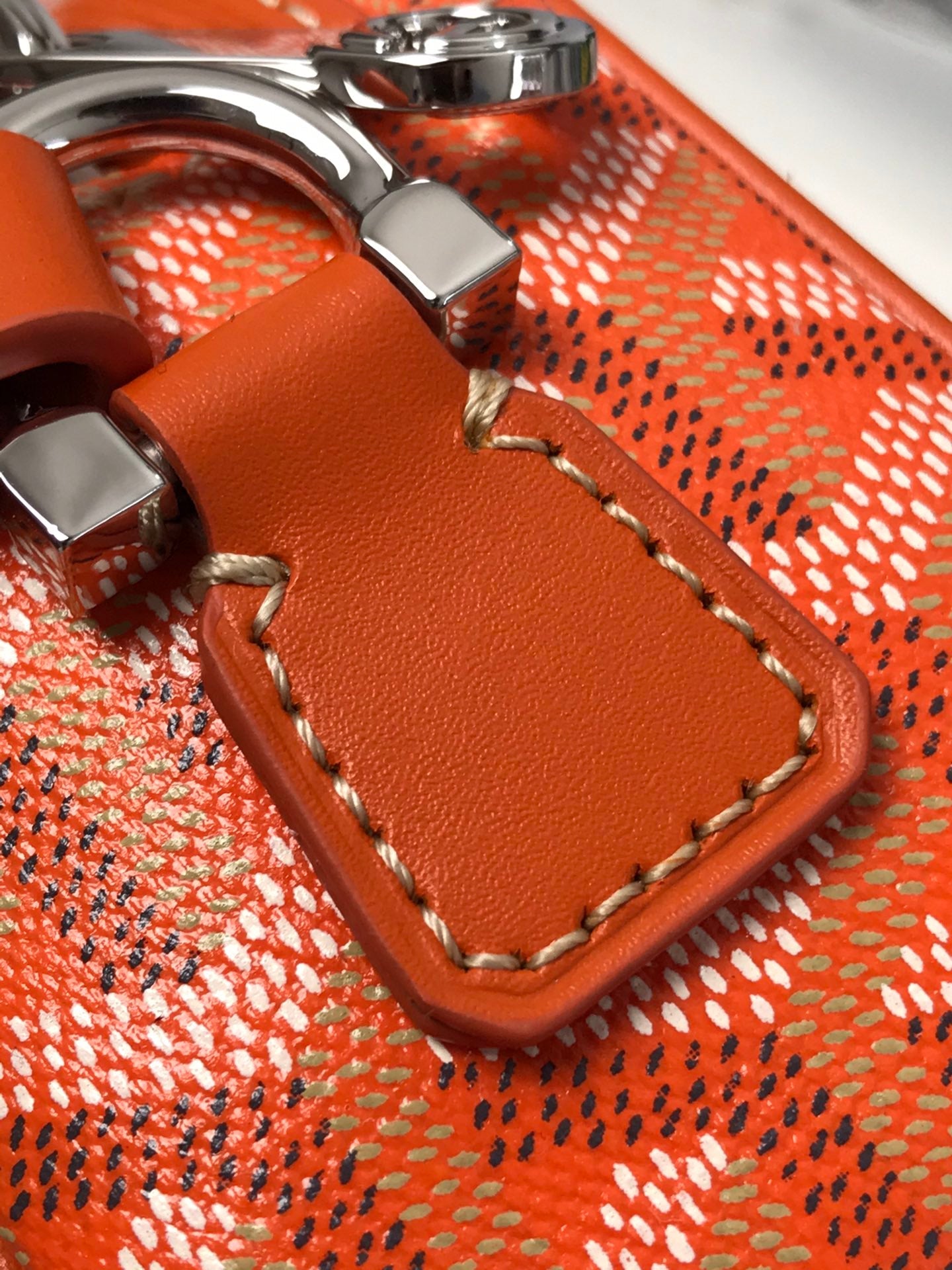 Goyard Cap-Vert Camera Bag Orange Calfskin Canvas 290859