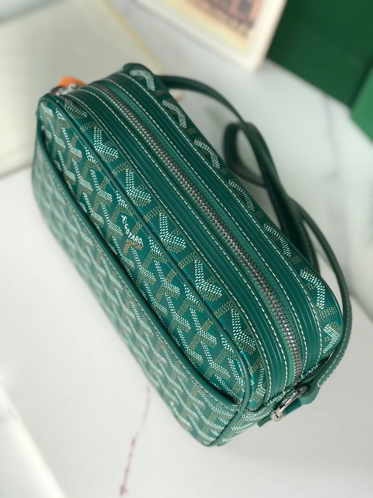 Goyard Cap-Vert Camera Bag Teal Green Calfskin Canvas 290858