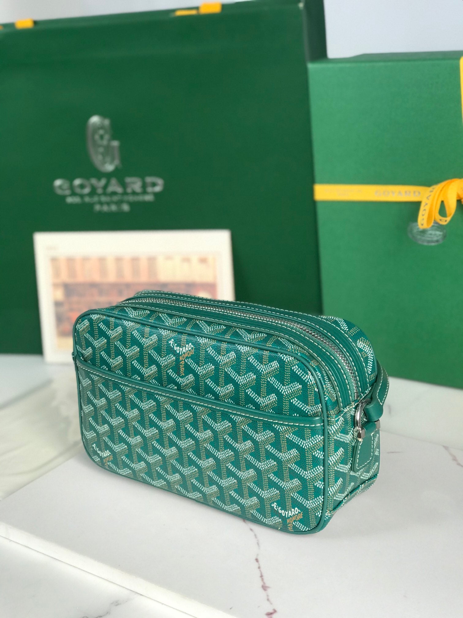 Goyard Cap-Vert Camera Bag Teal Green Calfskin Canvas 290858