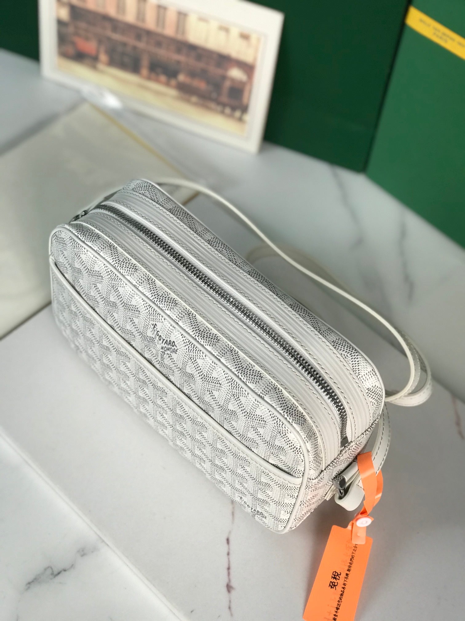 Goyard Cap-Vert Camera Bag White Calfskin Canvas 290851