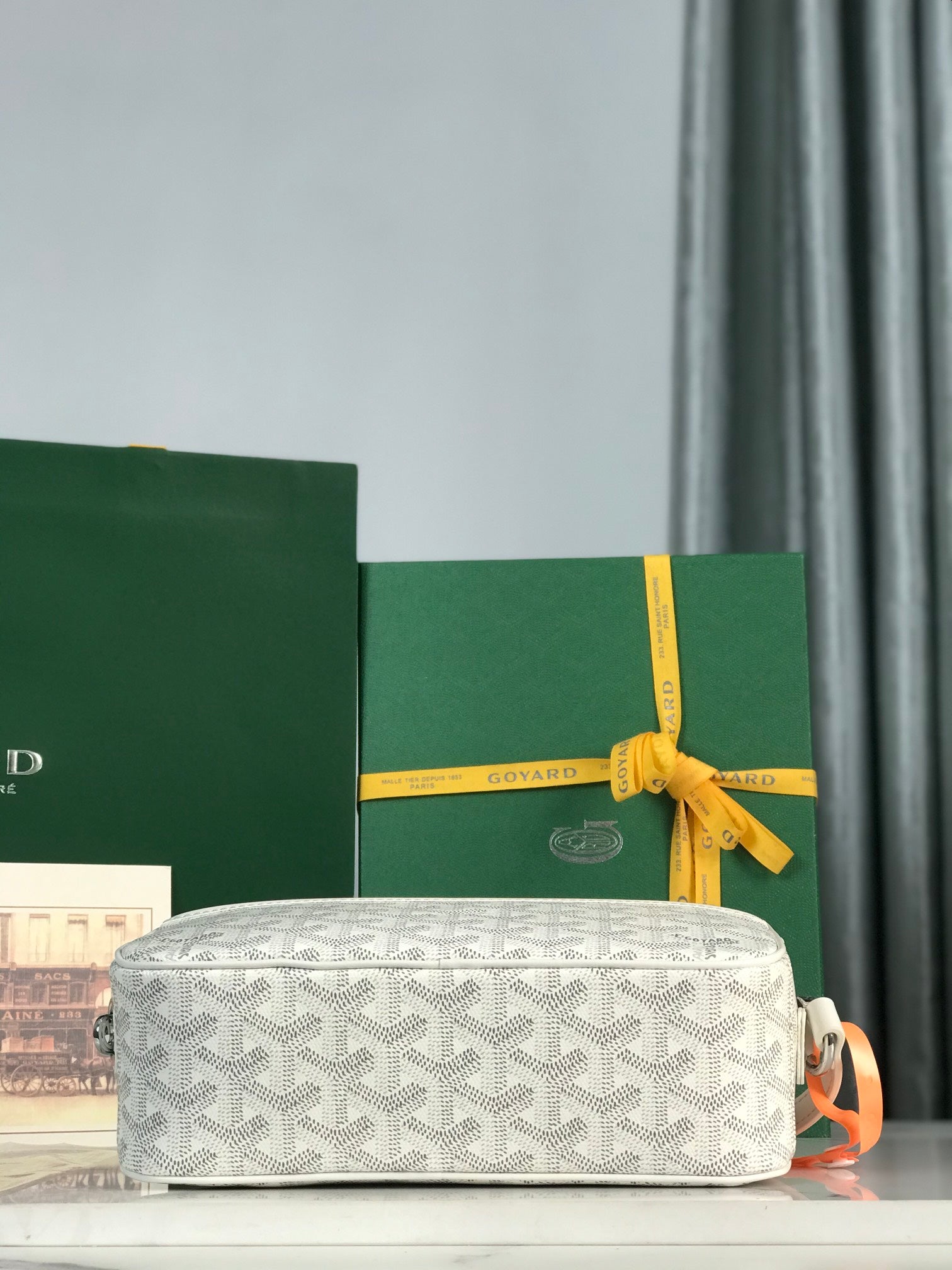 Goyard Cap-Vert Camera Bag White Calfskin Canvas 290851