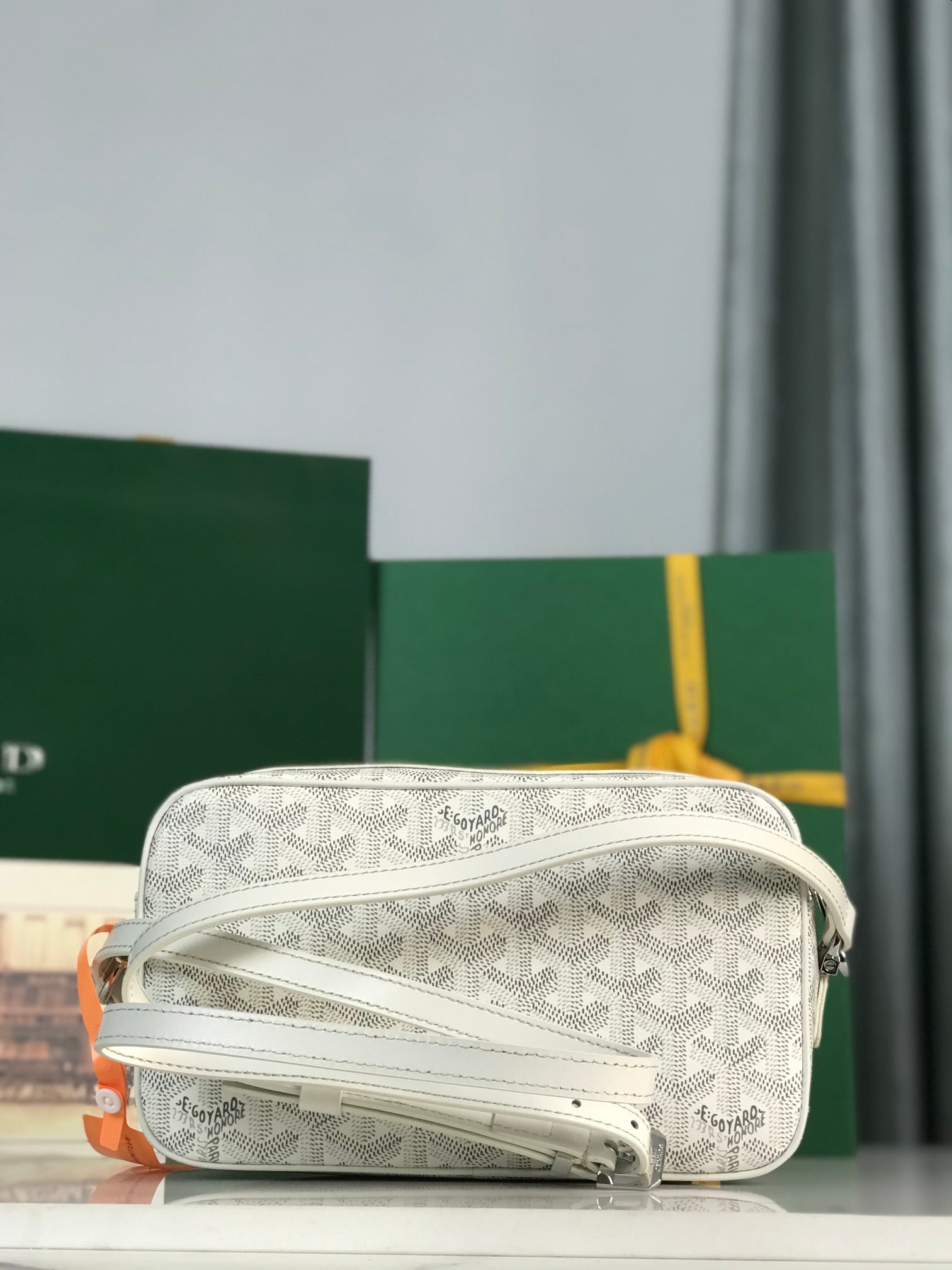 Goyard Cap-Vert Camera Bag White Calfskin Canvas 290851