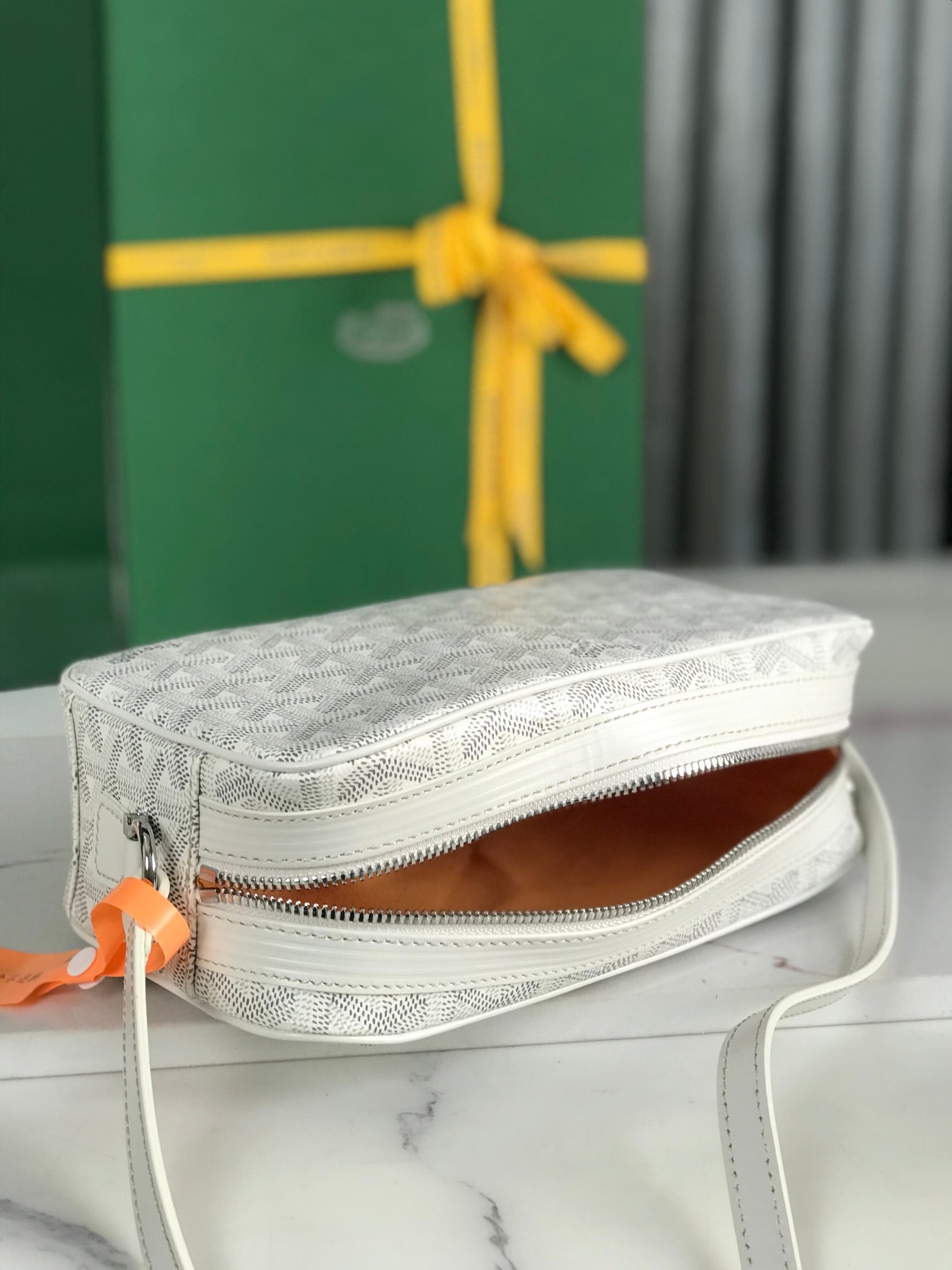 Goyard Cap-Vert Camera Bag White Calfskin Canvas 290851