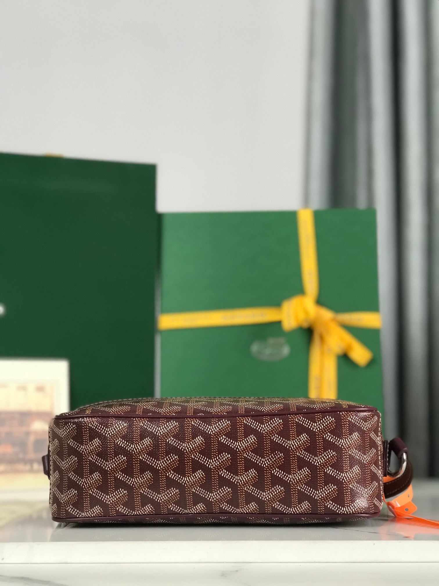Goyard Cap-Vert Camera Bag Burgundy Calfskin Canvas 290857
