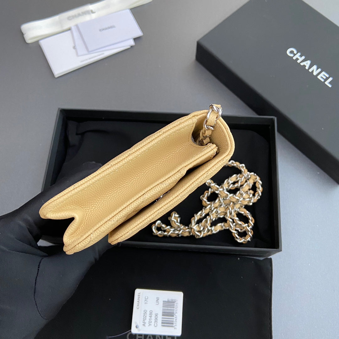 CC Woc 20cm Lime Grained Calfskin Silver Hardware