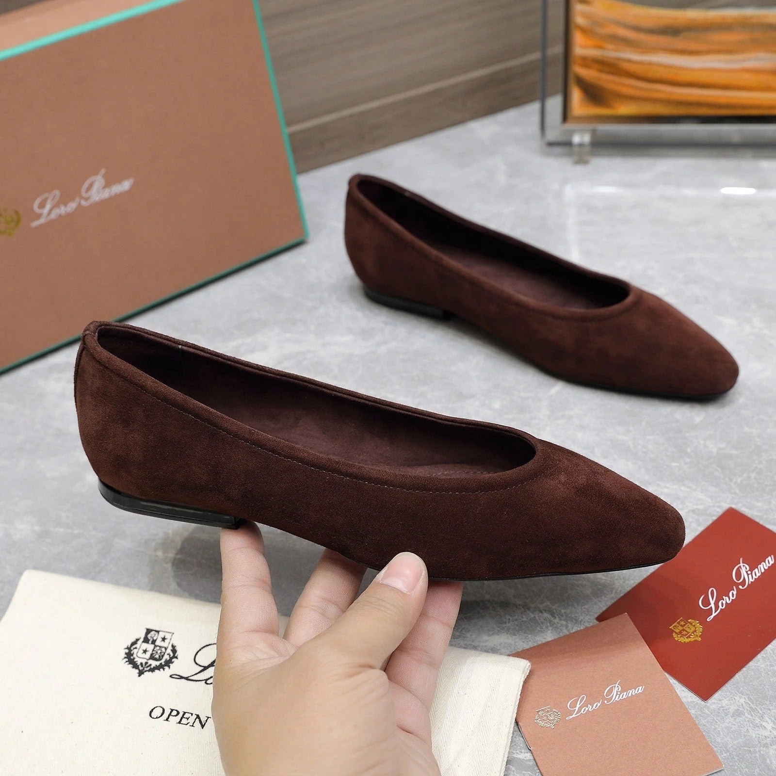 Classic Ballet Shoes In Brown Suede