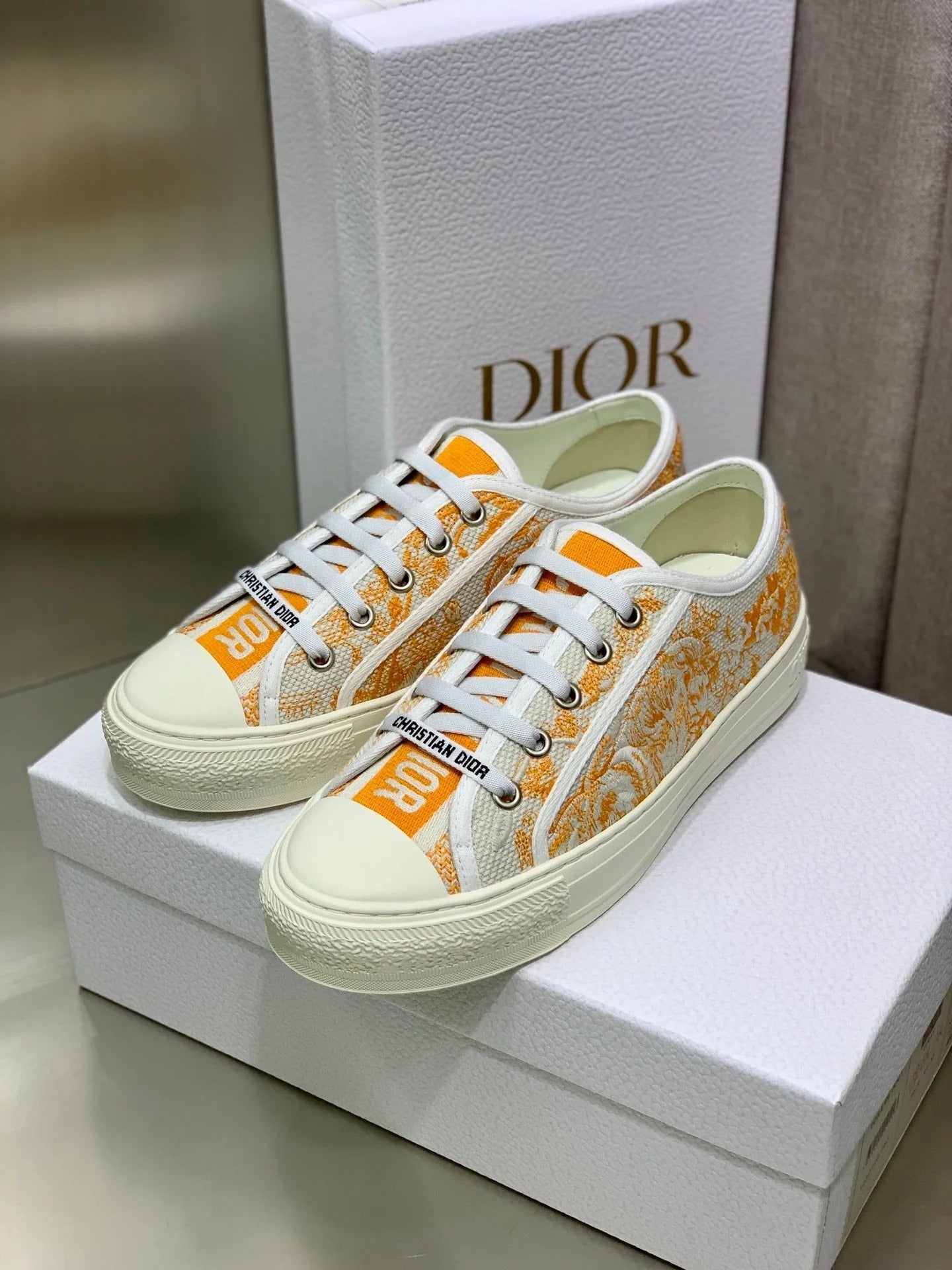 Dior 2026 Walk'n'Dior Sneakers Canvas Lace 966616