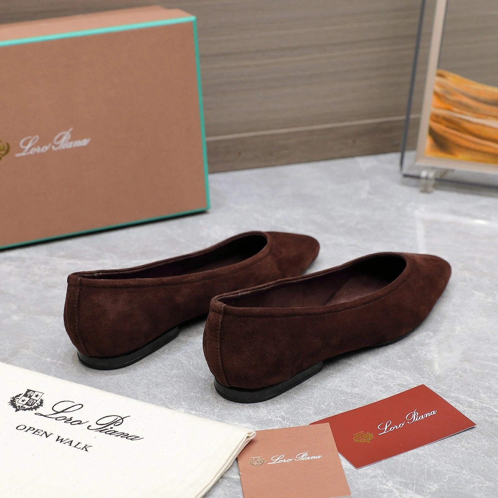 Classic Ballet Shoes In Brown Suede