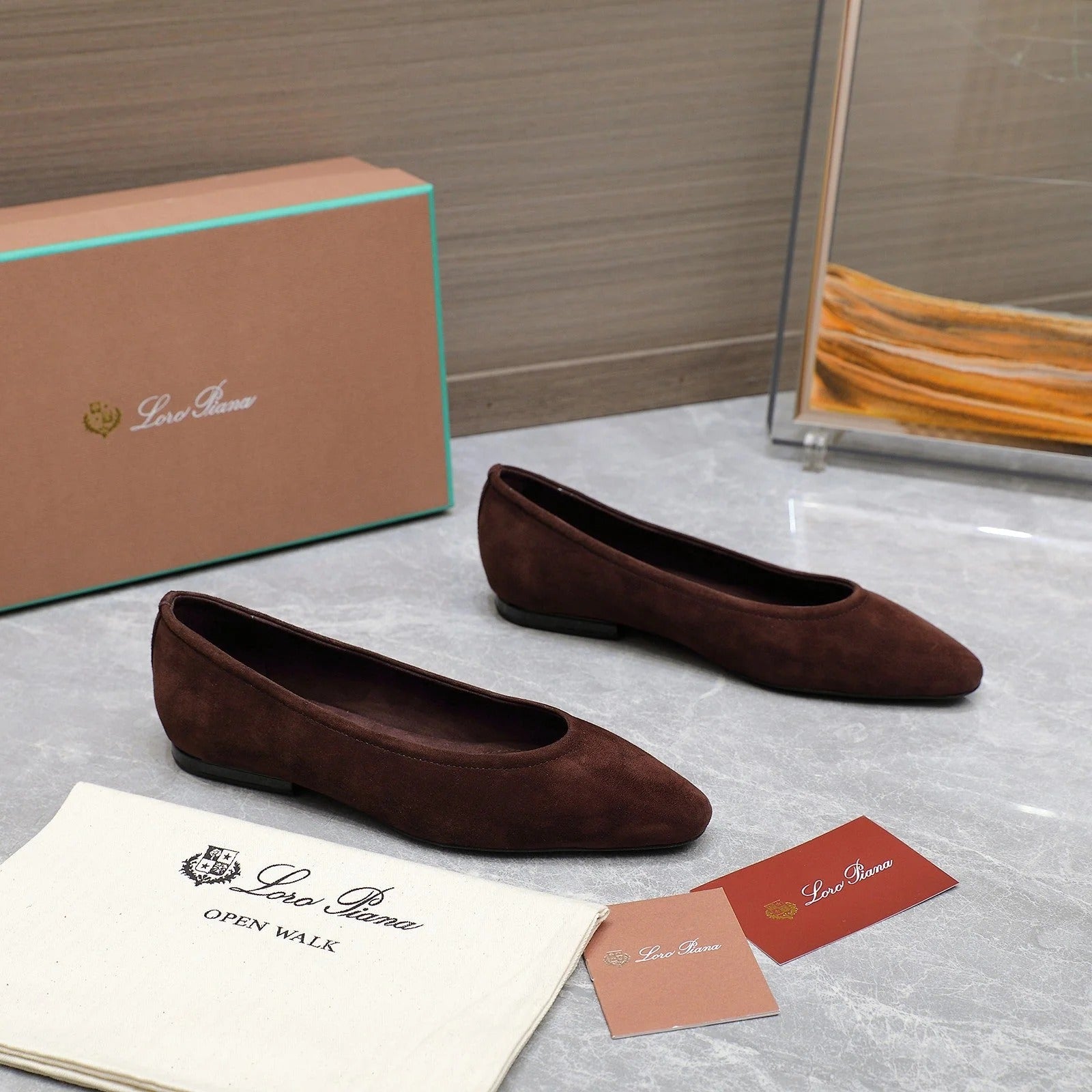 Classic Ballet Shoes In Brown Suede