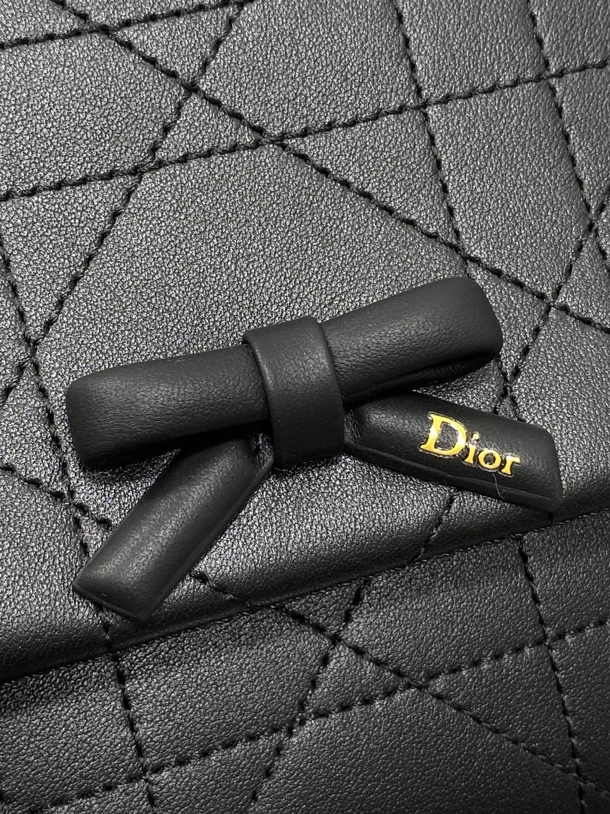 Dior 2026 Small Dior Promenade Flap Bag 25cm Leather Canvas 407157