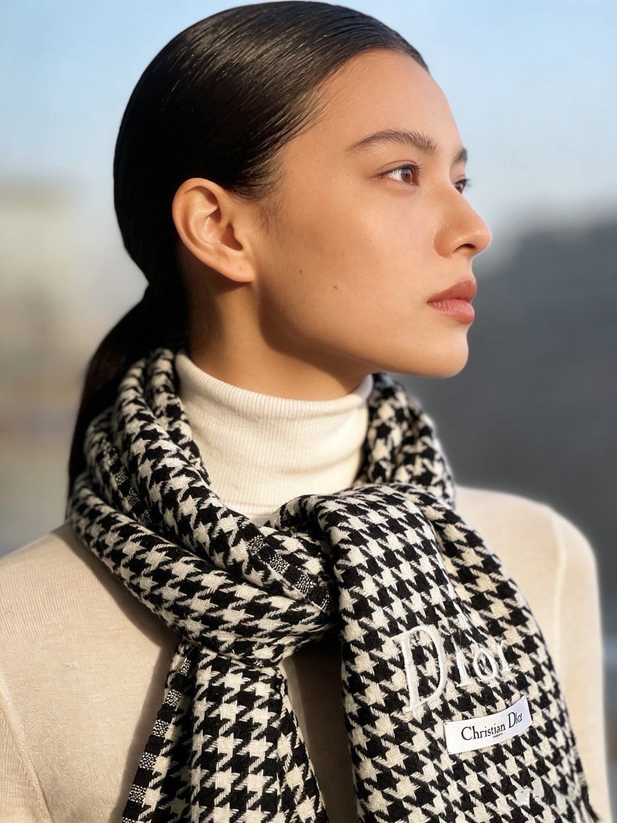 CD 26FW Scarf Houndstooth Color-Block Logo Jacquard Shawl 70×200 Wool Blend 550692