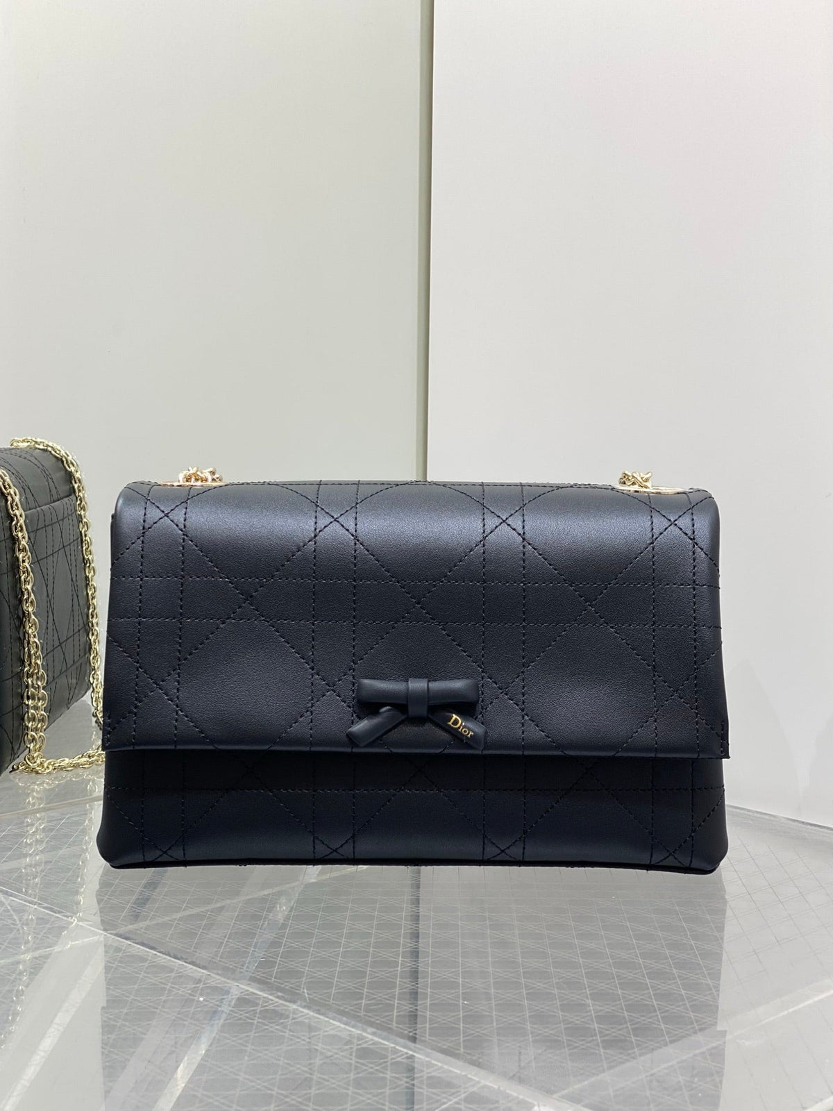 Dior 2026 Small Dior Promenade Flap Bag 25cm Leather Canvas 407157